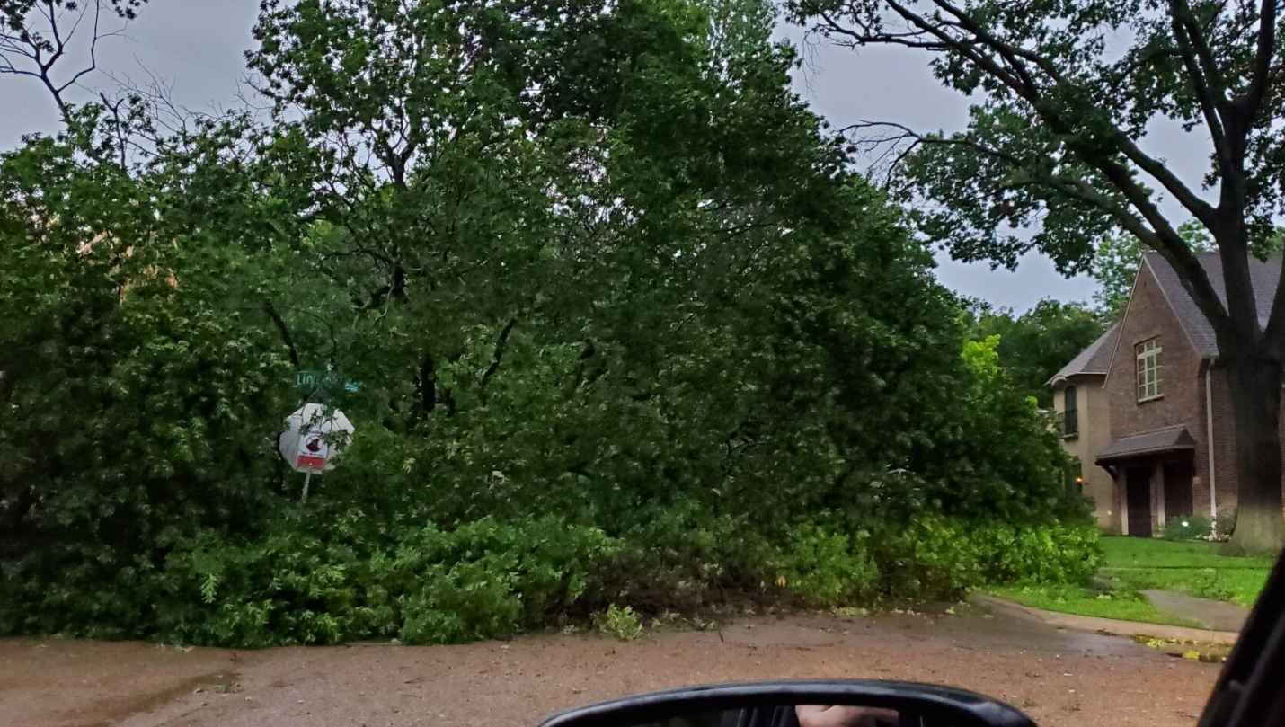 Banks, credit unions respond to wave of windstorms and tornadoes - Vimarsana News